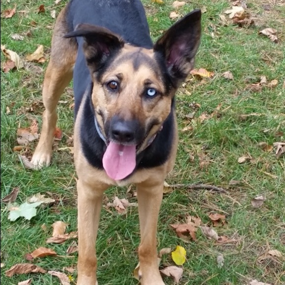 Meet your Posher, Taylor - Picture 1 of 1